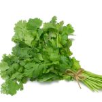 Cilantro's Positive Effects on Health