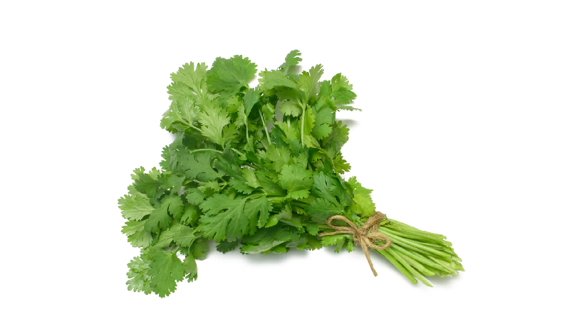 Cilantro's Positive Effects on Health